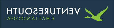 VentureSouth(查塔努加)的标志